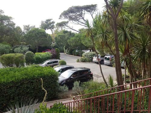 Apartamento Ecrins De La Badine- Pin�de