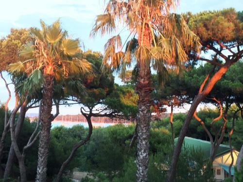 Apartamento Pin�de Plage