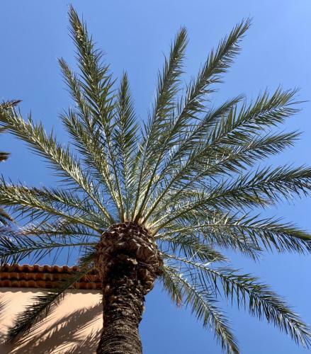 Apartamento Pin�de Plage