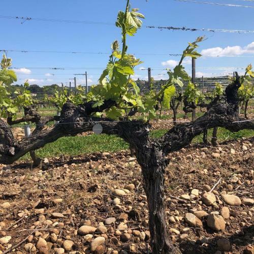 H�tel La Bonaventure Jezainville