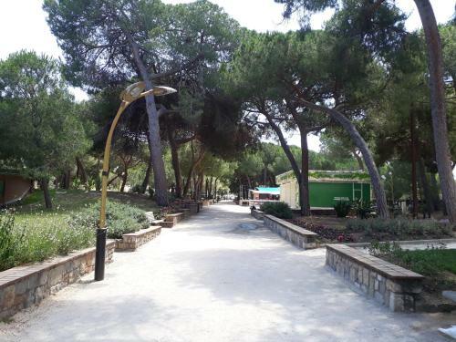 Apartamento Les Albizias