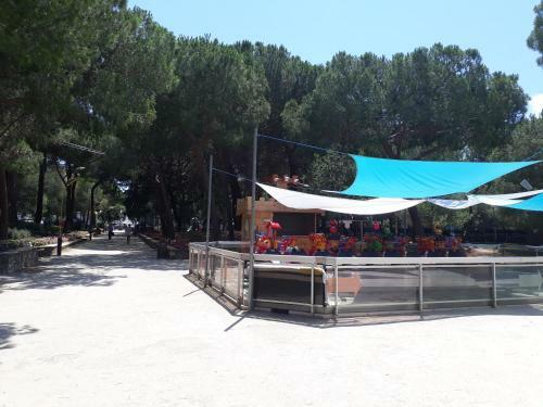 Apartamento Les Albizias