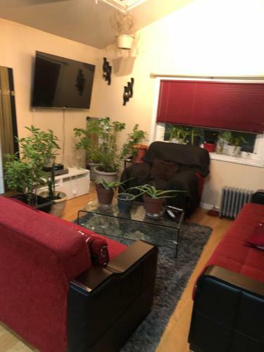 Brooklyn Blue House