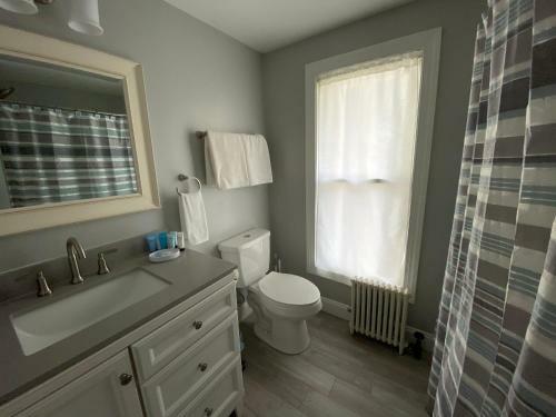 Hostal Cityside Escape For Serenity Or Socializing In Geneva