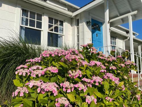 Bed & Breakfast Aria & Mare Hamptons
