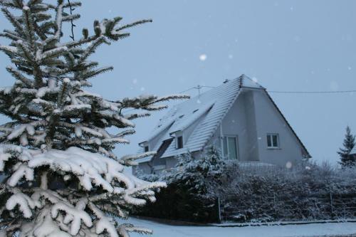 Bed & Breakfast Chambre D'h�tes Le Lavandin