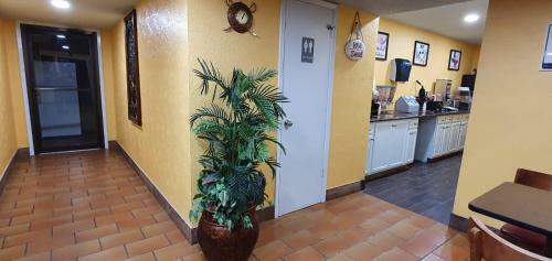 Chaparral Motel Hallettsville