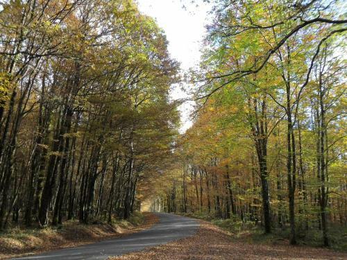 Bed & Breakfast Chambres D'h�tes Bienvenue