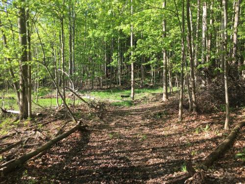 Tentrr - Emerald Views