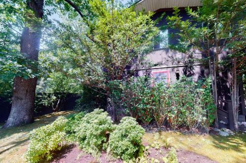 John Street On The Cove