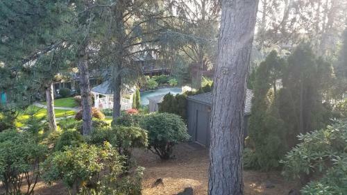 Shilo Inn Suites Hotel - Portland/beaverton