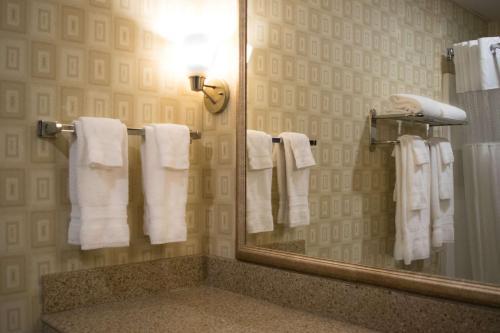 Hotel Best Western Plus Waynesboro