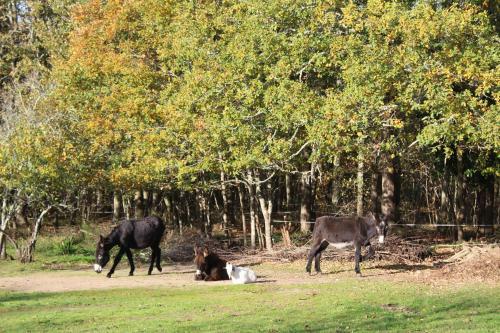 Gite "au Bout Du Chemin "