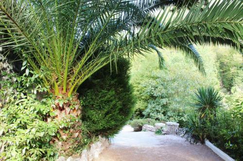 Apartamento L'appartement Du Mas Des Aliz�s