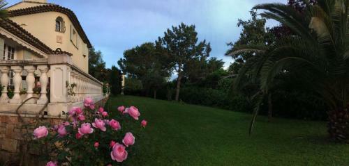Bed & Breakfast Saint Paul De Vence Angels