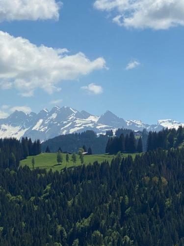 Chalet Belle Ch�ry 6 Rooms With Jacuzzi And External Sauna