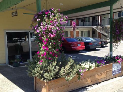 Cameo Motel - Portland