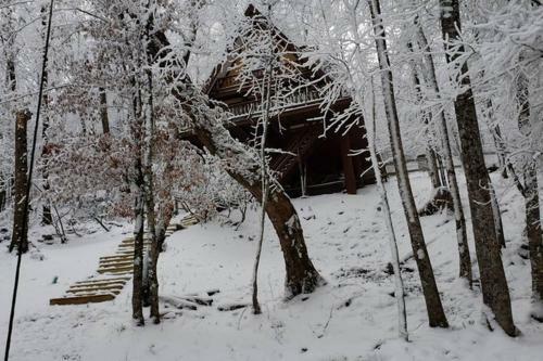 Unforgettable Dreams