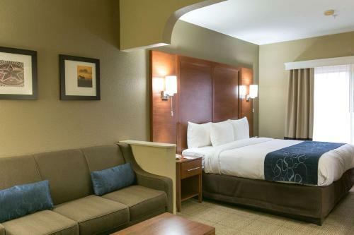 Hotel Comfort Suites Austin Nw Lakeline