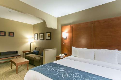 Hotel Comfort Suites Austin Nw Lakeline