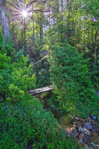 Shaw Creek Cottage With Fire Pit And Forest Views