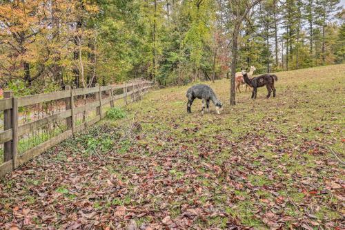Apartamento Rustic Farm Stay In A Hendersonville Studio!