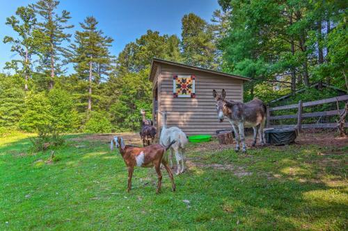Apartamento Rustic Farm Stay In A Hendersonville Studio!
