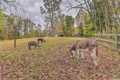 Apartamento Rustic Farm Stay In A Hendersonville Studio!