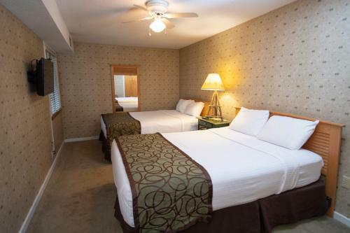 Aparthotel Mountain Lodge At Okemo