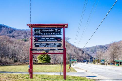 Mountain Joy