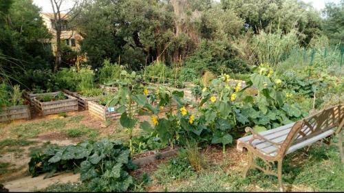 Bed & Breakfast La Bastide Neuve Des Oliviers