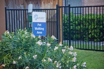Hotel Candlewood Suites Houston Park Row