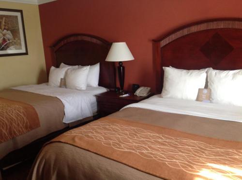 Hotel Comfort Inn & Suites West