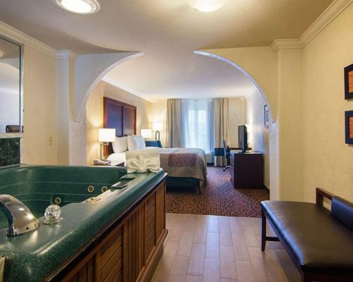 Hotel Comfort Inn & Suites West