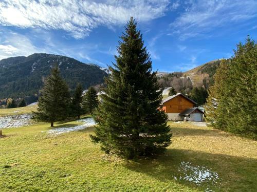 Apartamento Superbe Studio Au Pied Des Pistes