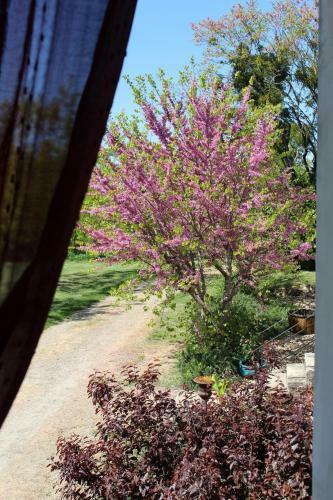 Bed & Breakfast Ancien Haras De La Tour