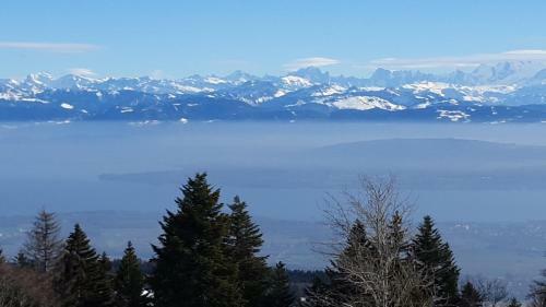 Chalet Les Epilobes