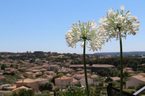 Belle Villa En Provence