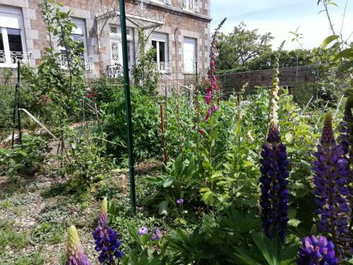 Bed & Breakfast Le Vieux Notaire