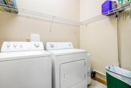 Butterfly At The Lakes