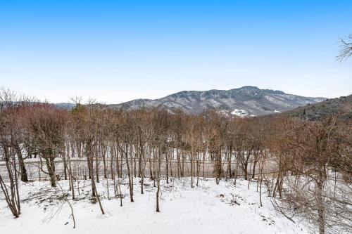 Blue Ridge Vista