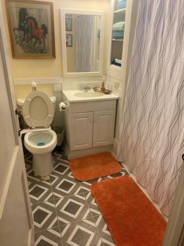 Private Mountain Cottage On 7 Acres & Creek
