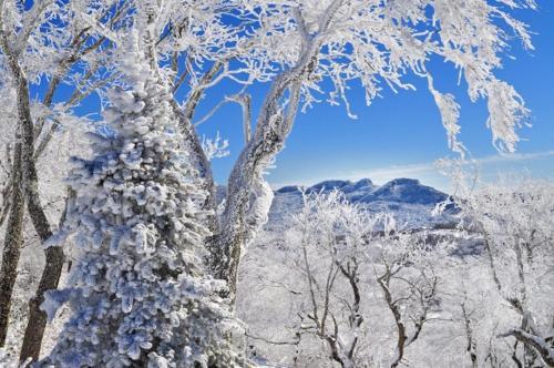 Apartamento Handsome 2br Condo With Gorgeous Views In Sugar Mountain! Condo