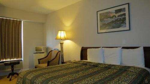 Motel Great Value Inn Houston/galleria