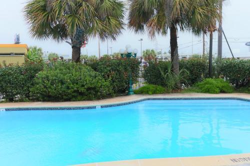 Motel Great Value Inn Houston/galleria