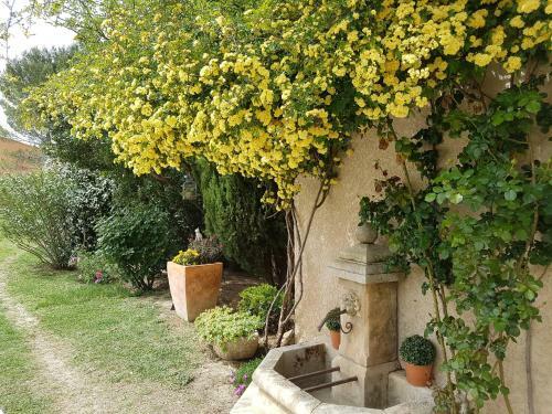 Hostal La Parenth�se