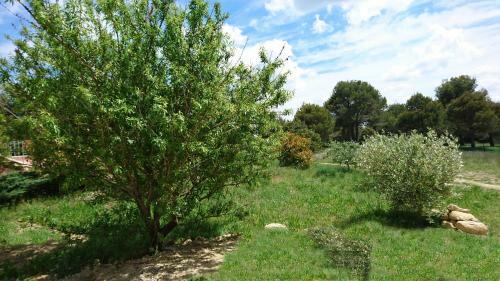 Apartamento Appart Ind�pendant Dans Propri�t� 4000 M2 Luberon