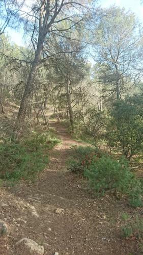 Apartamento Appart Ind�pendant Dans Propri�t� 4000 M2 Luberon