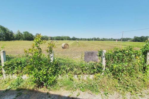 Cottage Chaleureux, Proche Beauval & Ch�teaux