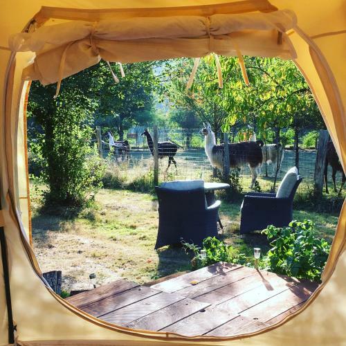 Agroturismo Loire Valley Llama Farm Stay
